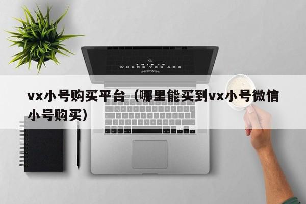 vx小号购买平台（哪里能买到vx小号微信小号购买）