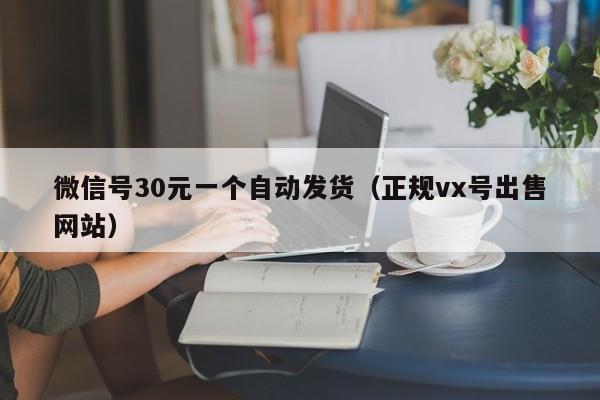 微信号30元一个自动发货（正规vx号出售网站）