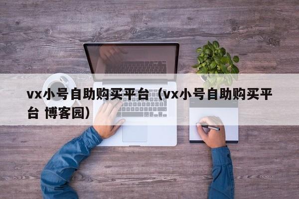 vx小号自助购买平台（vx小号自助购买平台 博客园）