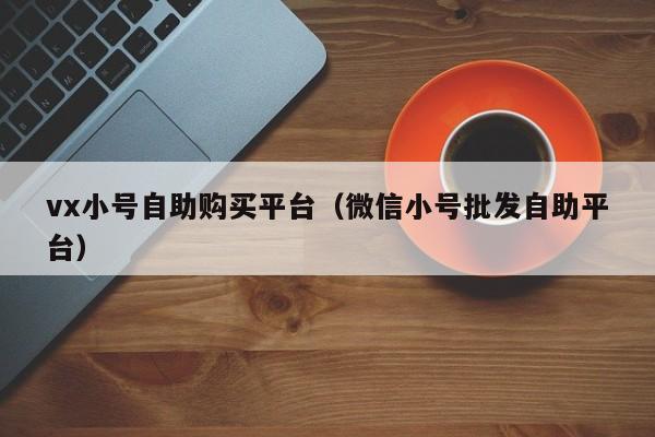 vx小号自助购买平台（微信小号批发自助平台）