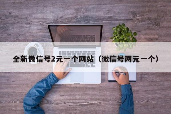 全新微信号2元一个网站（微信号两元一个）