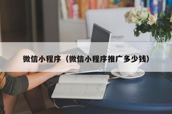 微信小程序（微信小程序推广多少钱）