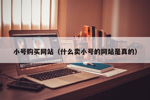 小号购买网站（什么卖小号的网站是真的）