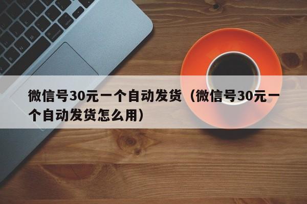 微信号30元一个自动发货（微信号30元一个自动发货怎么用）