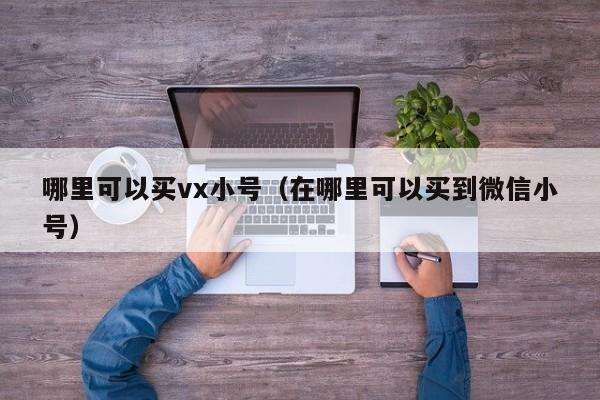 哪里可以买vx小号（在哪里可以买到微信小号）
