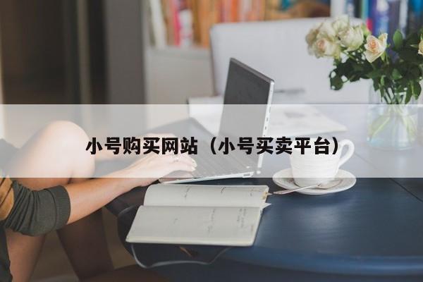 小号购买网站（小号买卖平台）