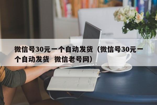 微信号30元一个自动发货（微信号30元一个自动发货  微信老号网）