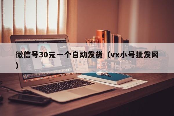 微信号30元一个自动发货（vx小号批发网）