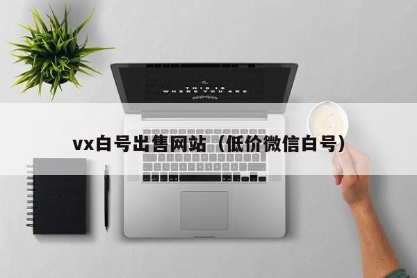 vx白号出售网站（低价微信白号）